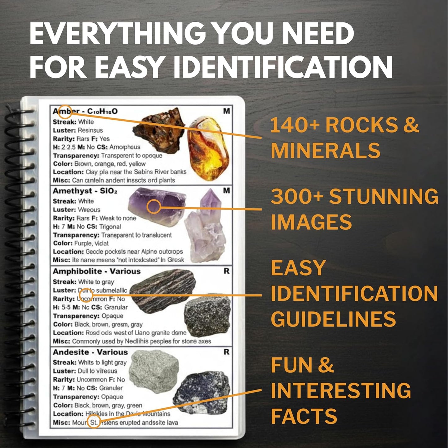 Rocks & Minerals Of The United States Field Guide