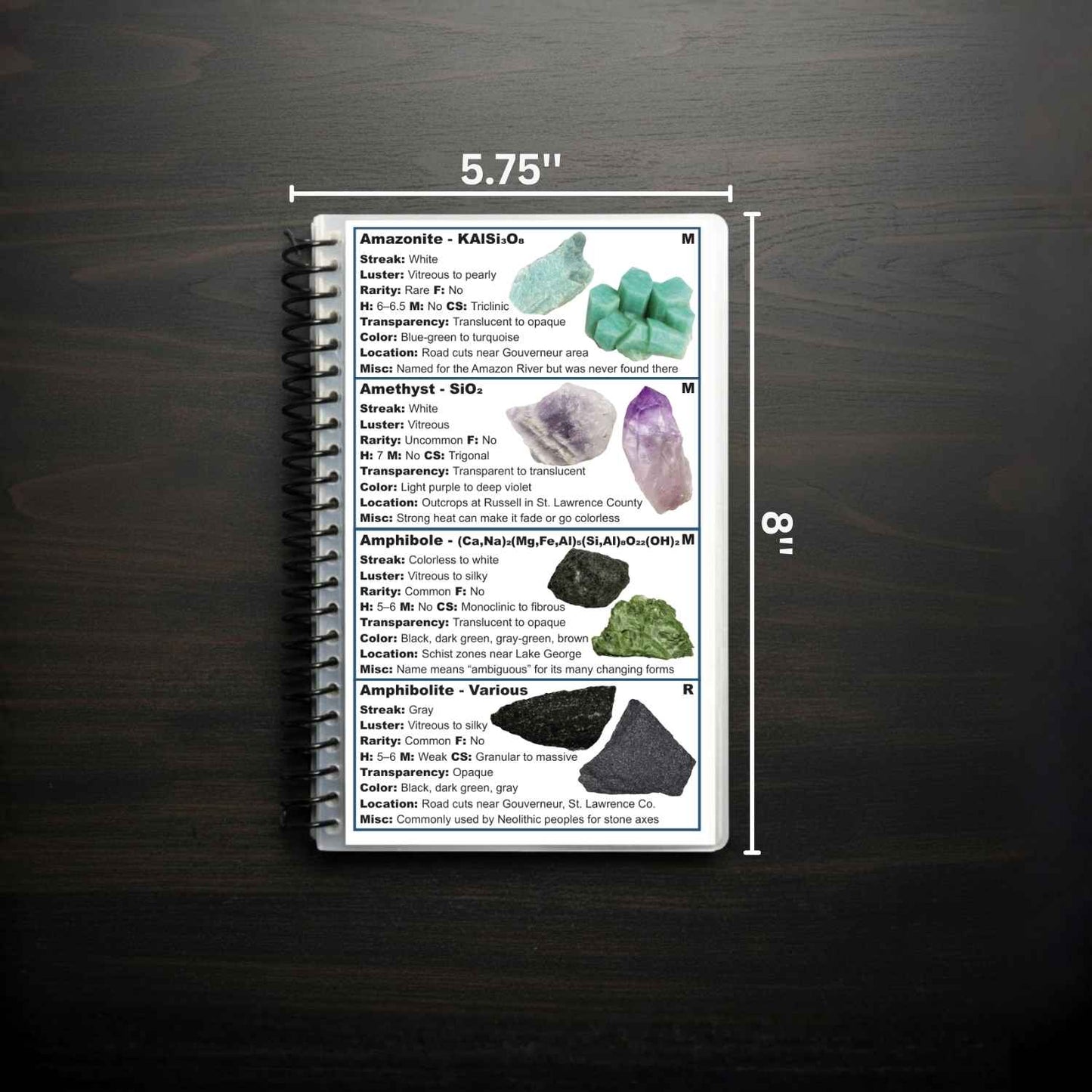 Ohio and Indiana Rocks and Minerals Field Guide (NEW)