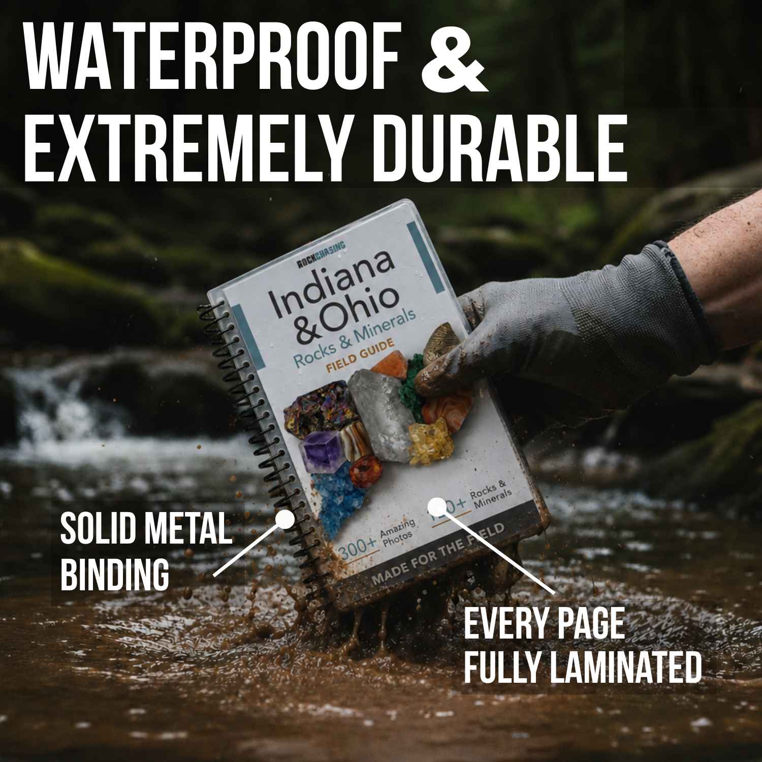 Waterproof pages of the Ohio and Indiana field guide built for wet creek days