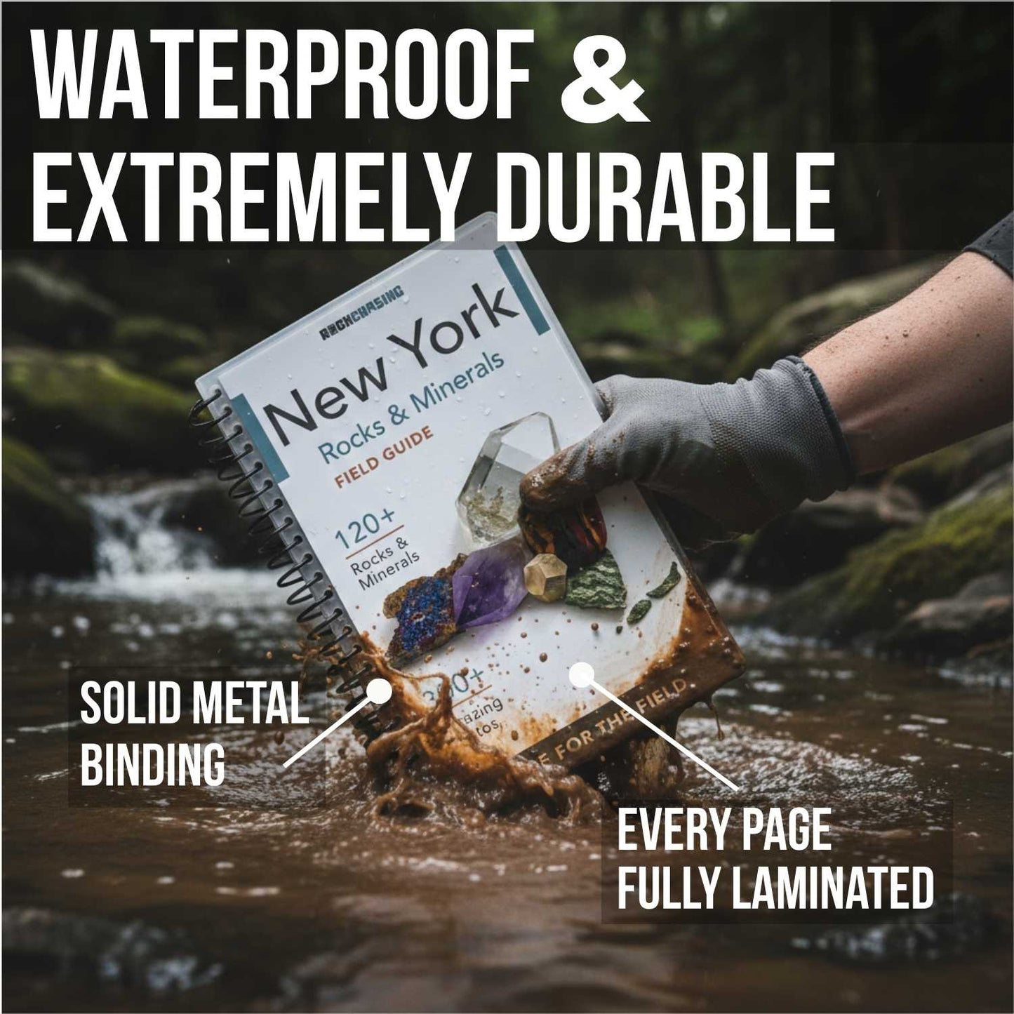 New York Rocks and Minerals Field Guide