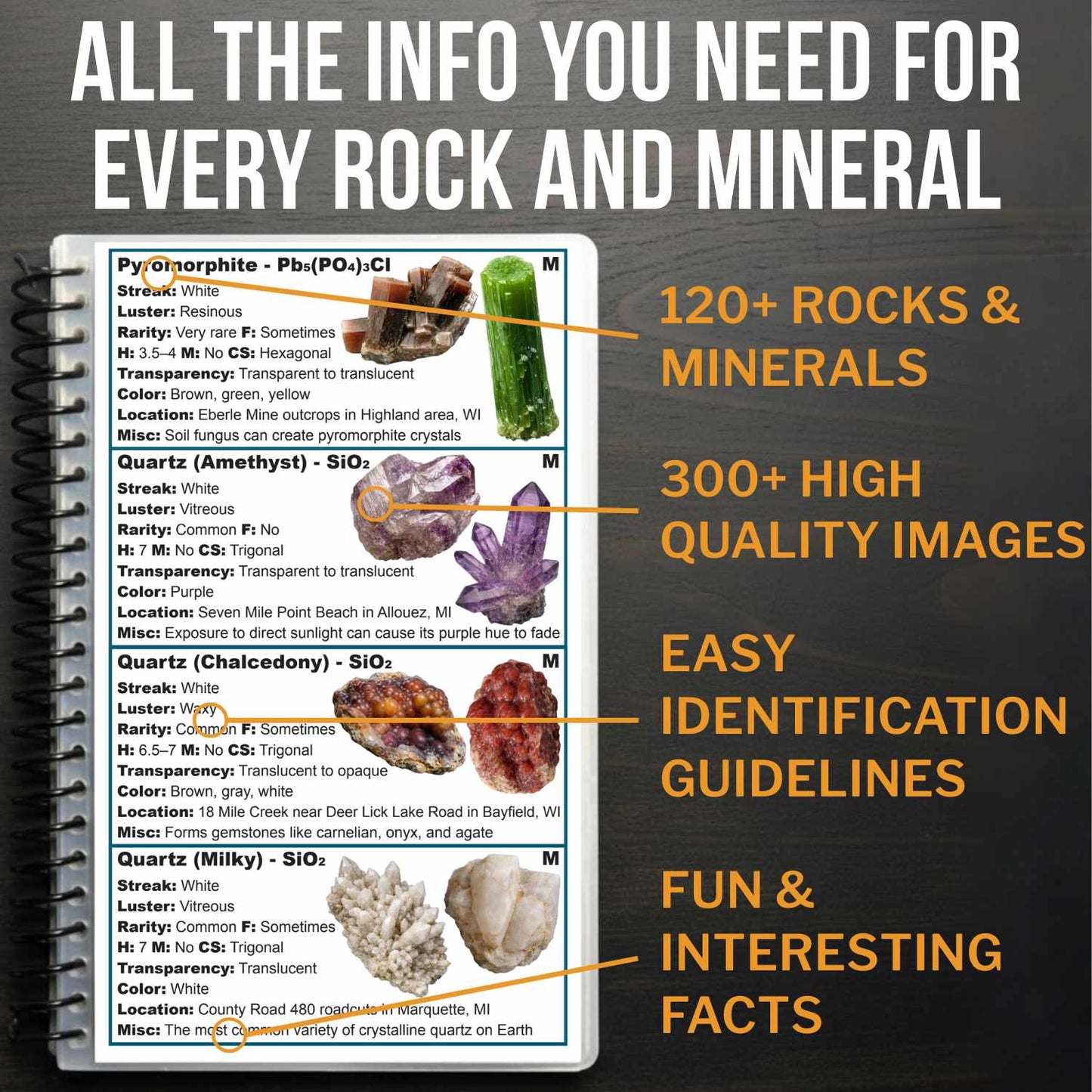 Michigan and Wisconsin Rocks And Minerals Field Guide