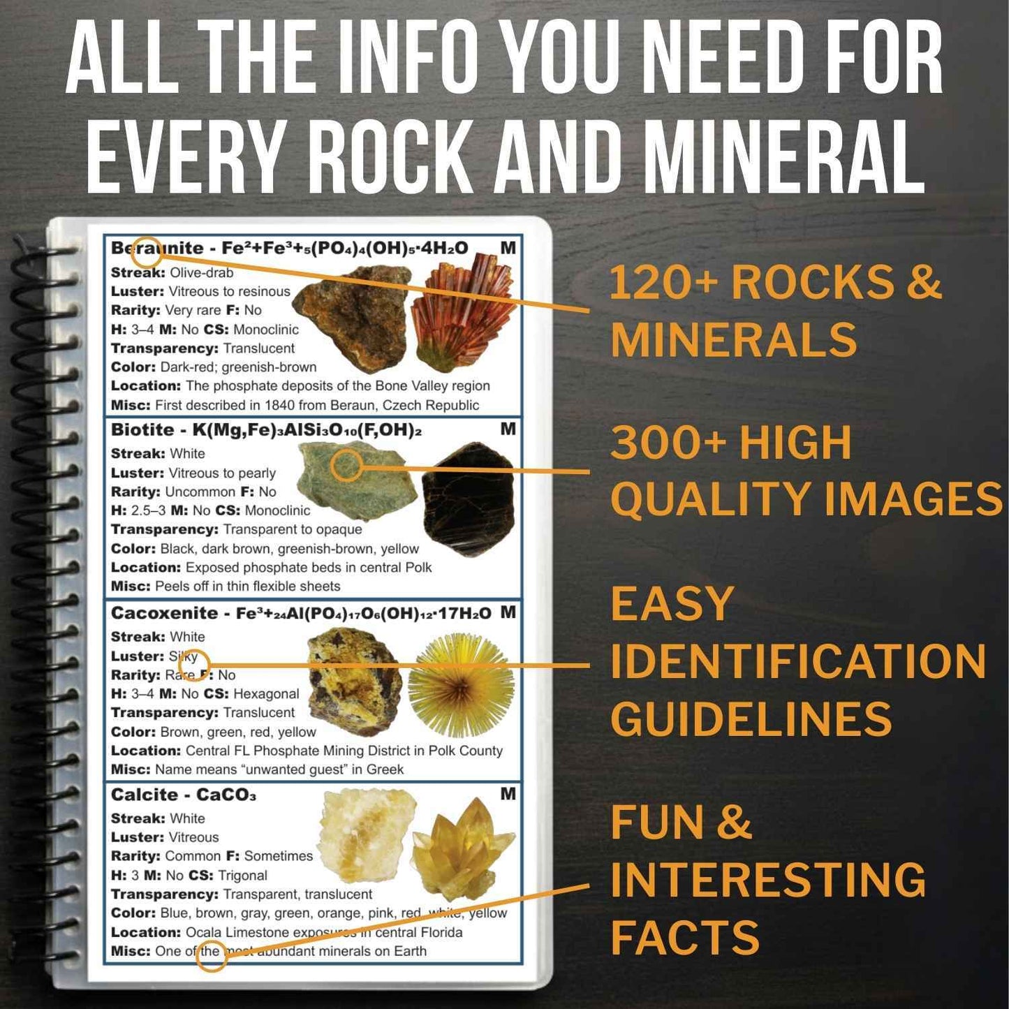 Florida Rocks and Minerals Field Guide