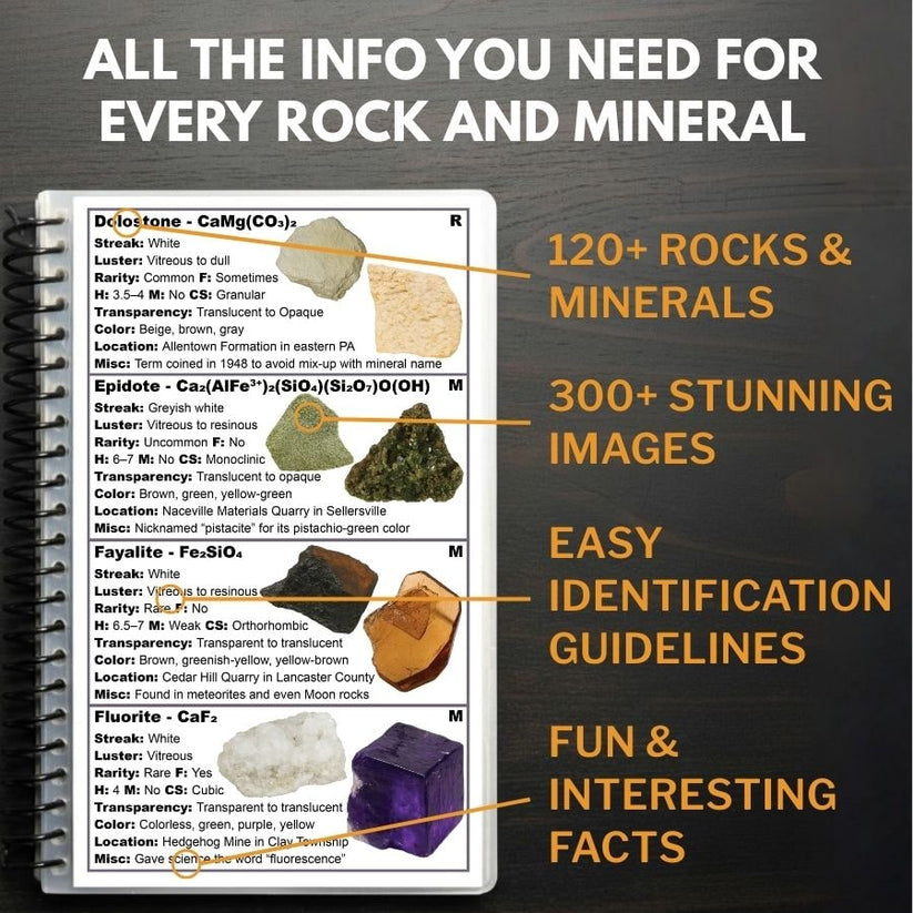Pennsylvania Rocks and Minerals Field Guide Rock Chasing