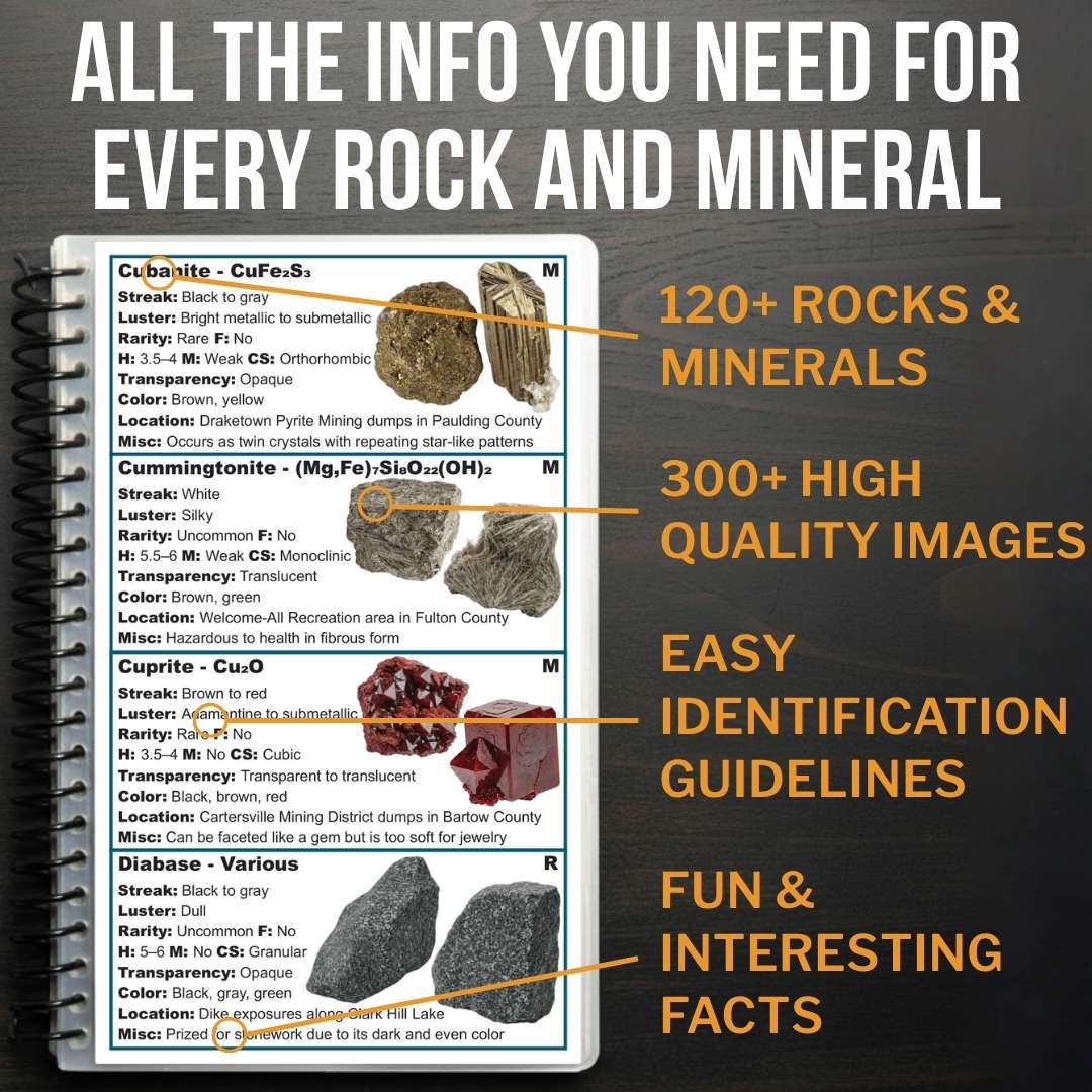 Breakdown of the elements included on each field guide entry