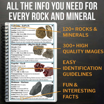 Breakdown of the elements included on each field guide entry