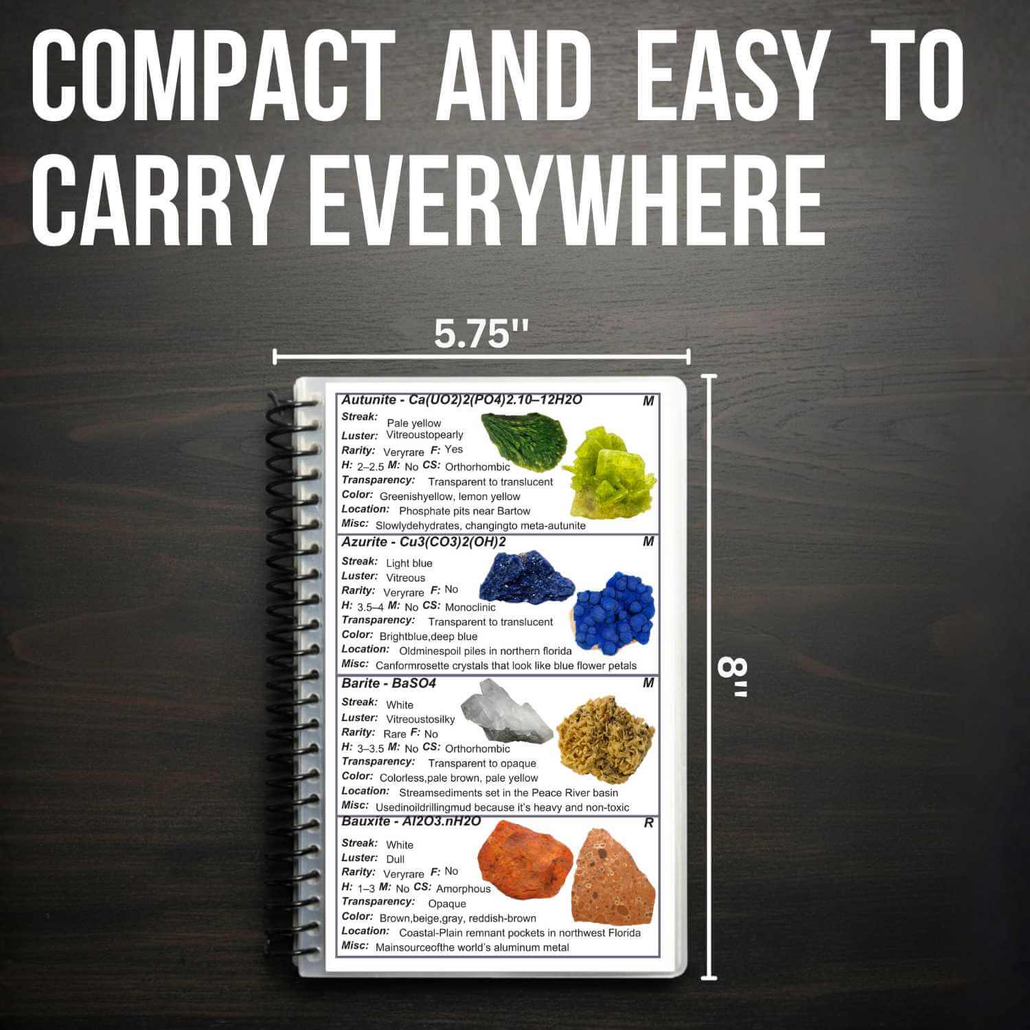 Small field guide with colorful illustrations and text on a dark background, emphasizing its compact size.
