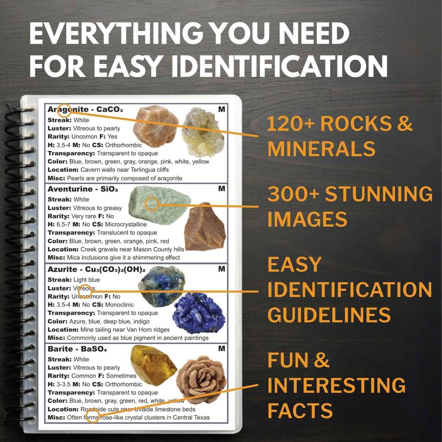 Texas Rocks and Minerals Field Guide