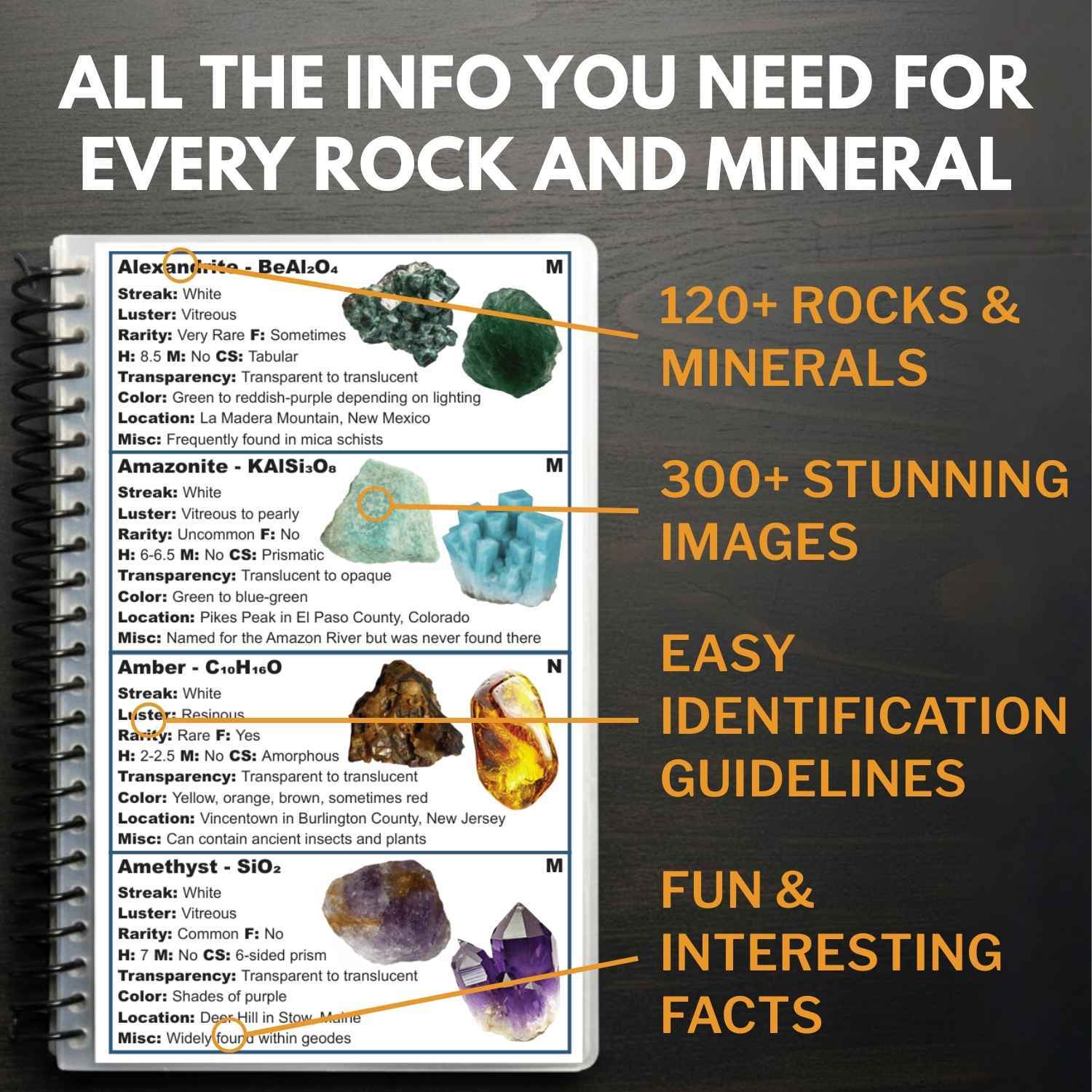 Inside pages of the United States field guide used to identify river finds