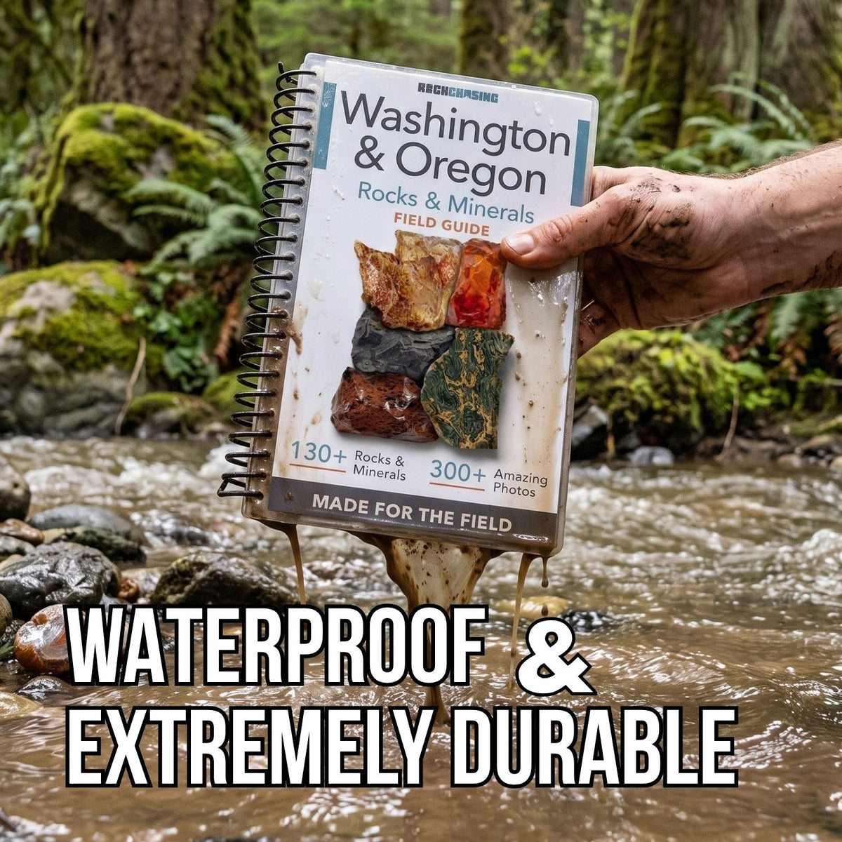 Waterproof, laminated Washington and Oregon field guide with metal spiral binding